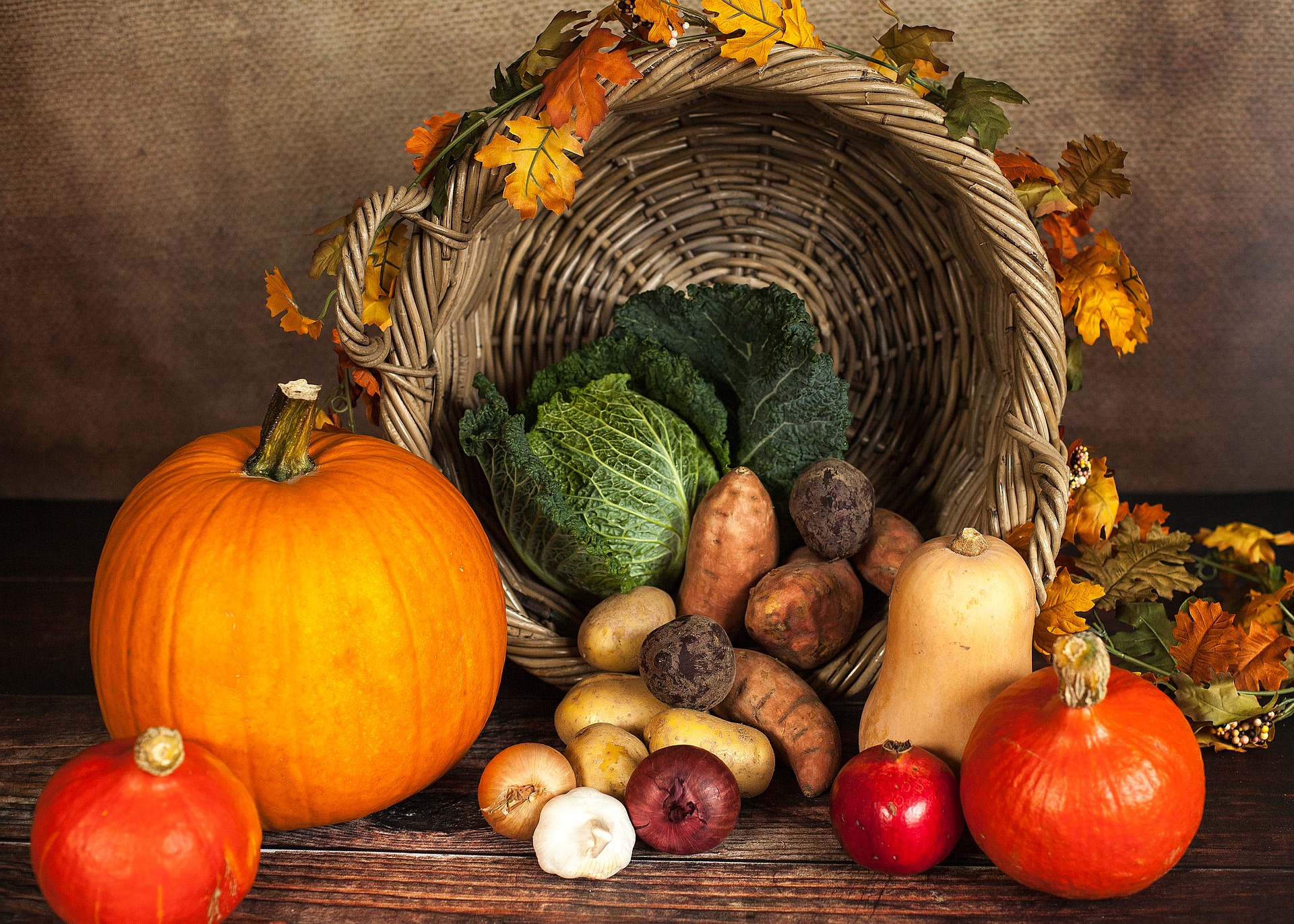 Pumpkin, vegetables, autumn Image by Sabrina Ripke