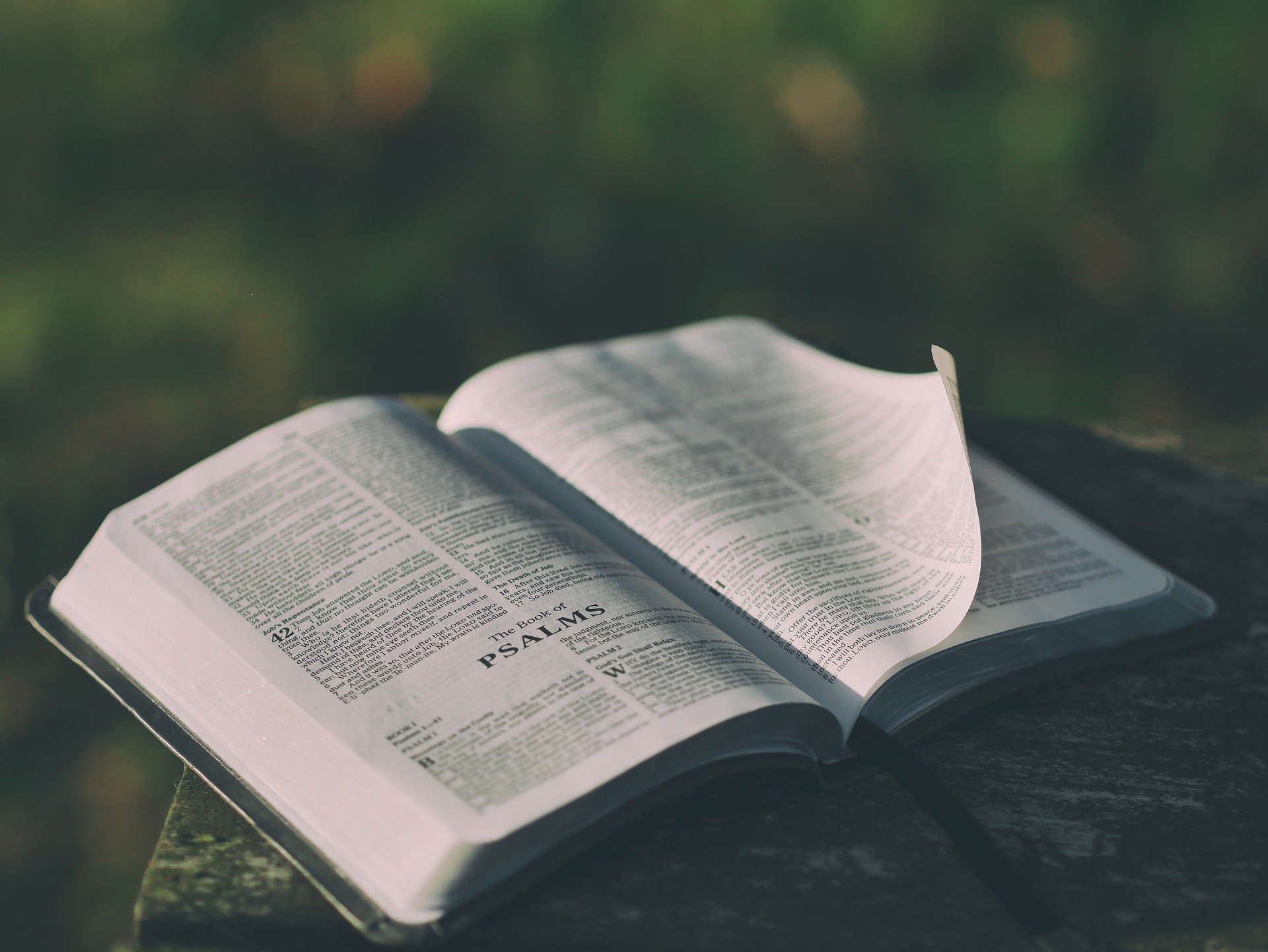 Open Bible Image by Pexels