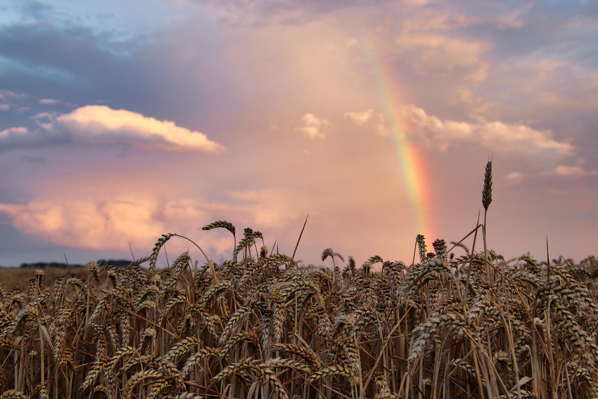 Real Freedom Is In Christ